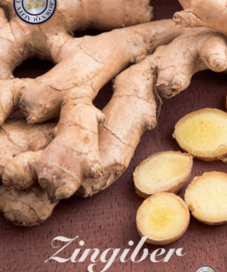 Ingefära ’Zingiber Officinale’