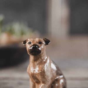Vas- Border terrier S