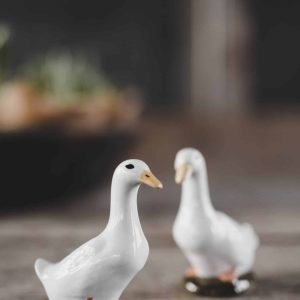 Salt & Peppar – Anka