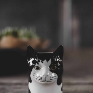 Äggkopp- Barney katt