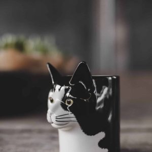 Vas- Barney Katt-mini