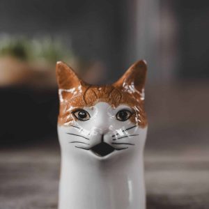 Kanna – Orange Katt M