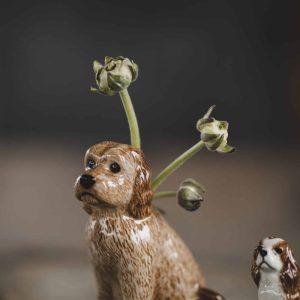 Vas – Cockerpoo S