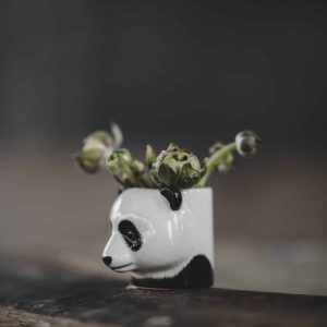Vas – panda mini