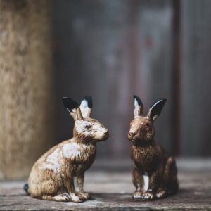 Salt & Peppar – Hare