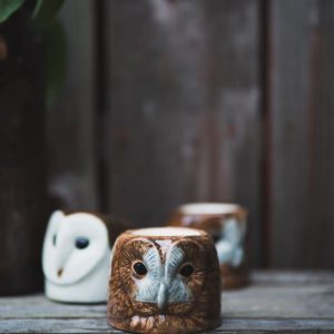 Äggkopp – Kattuggla.