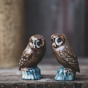 Salt & Peppar – Kattuggla.