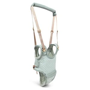 Barnsele Lära Gå - DELUXE - 2 in 1