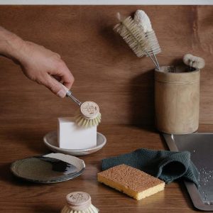 Nature Dishwashing box.