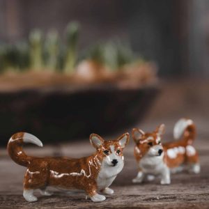 Salt & Peppar – Corgi hund